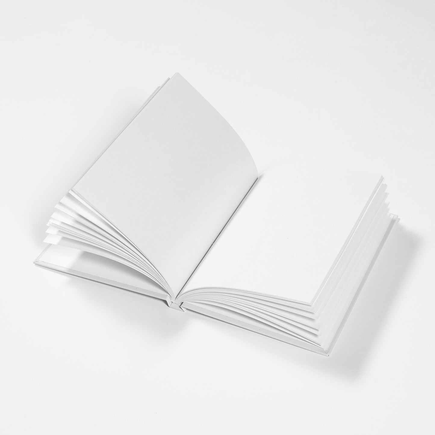 Cuaderno · The Artist