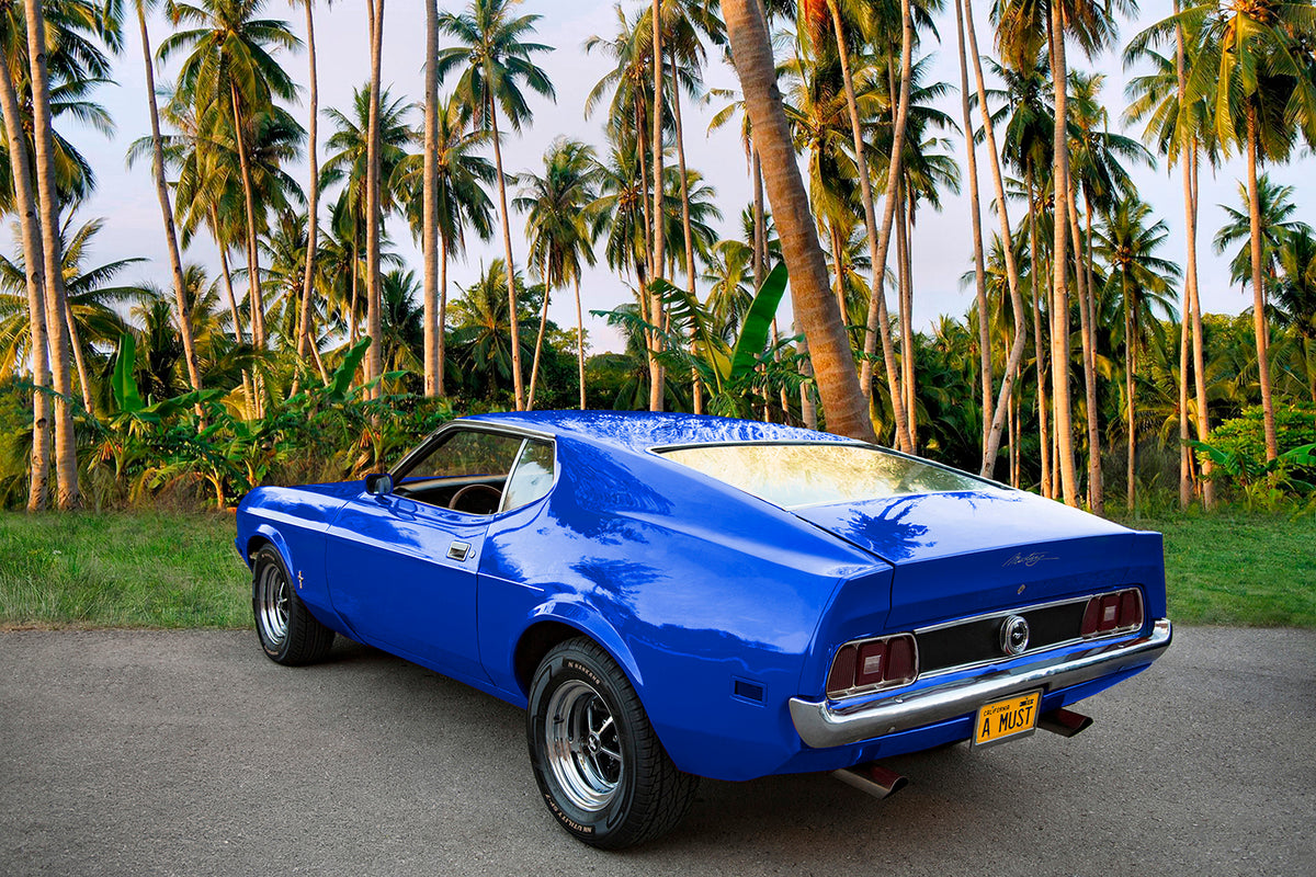 Tropical Drive
